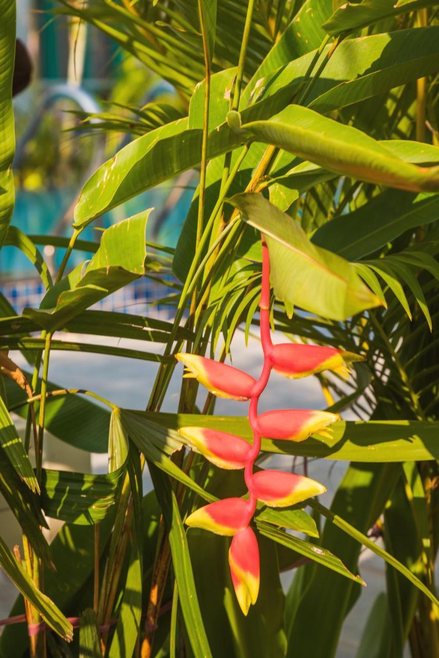 Philip Bungalow دونغ دونغ المظهر الخارجي الصورة